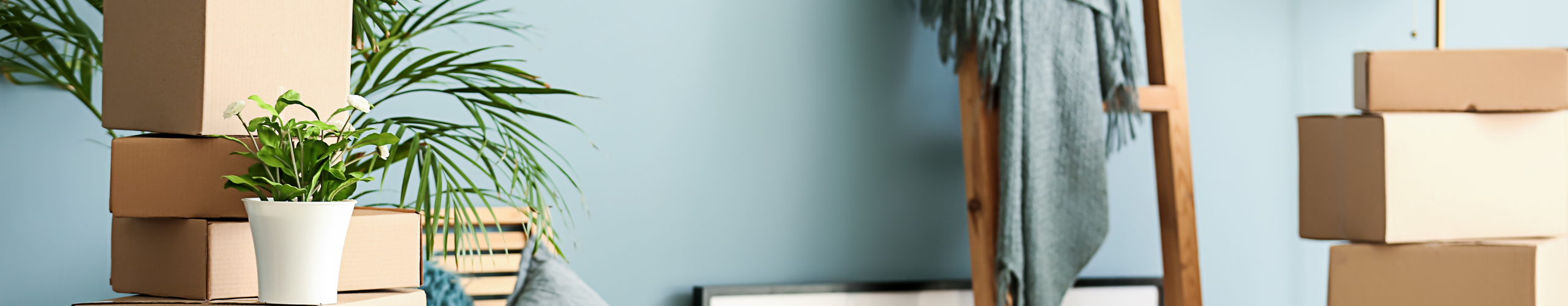 6 sites web à connaitre pour votre déménagement