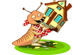 Déménagement et risque termites diagnostic